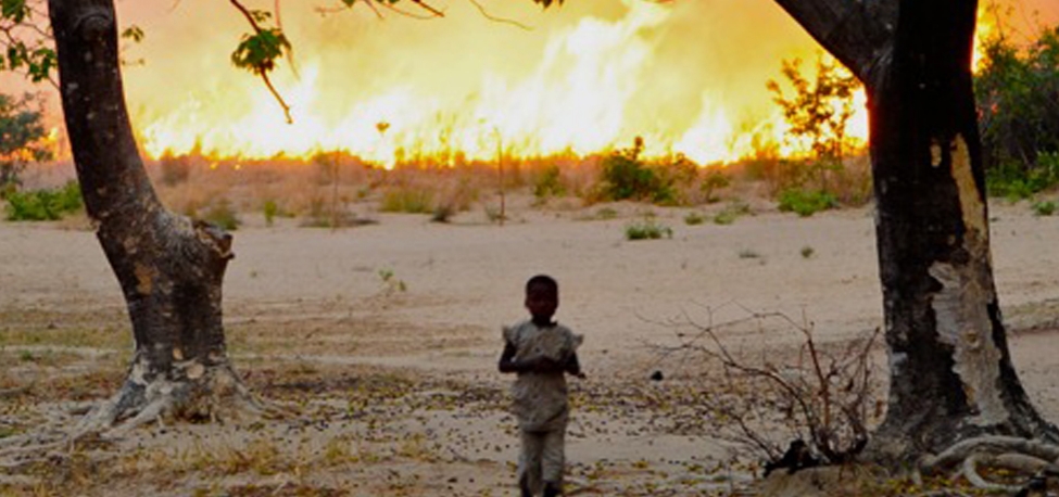 Martyrs USA Film - Presentation Image