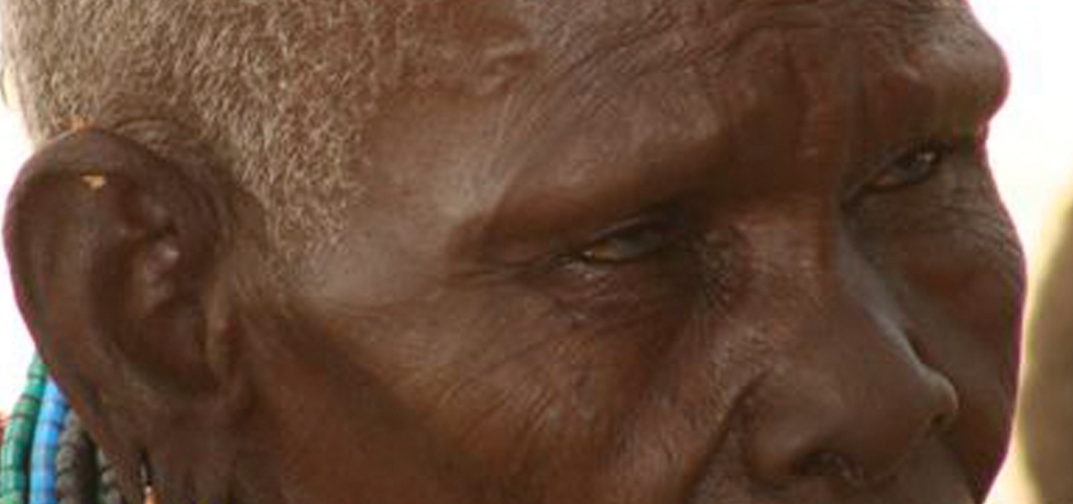 Martyrs USA Film - Presentation Image